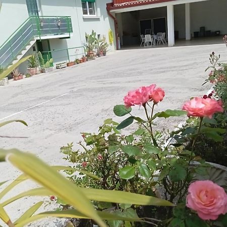 Gorizia Vacanze Appartamento In Villa Con Parcheggio Exteriér fotografie