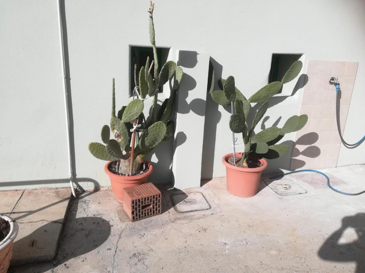 Gorizia Vacanze Appartamento In Villa Con Parcheggio Exteriér fotografie